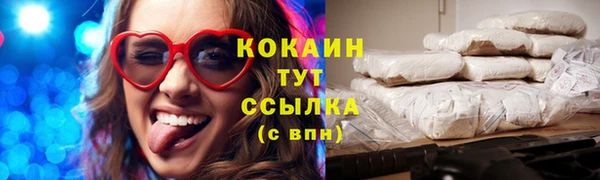 дмт Переславль-Залесский