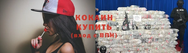 дмт Переславль-Залесский