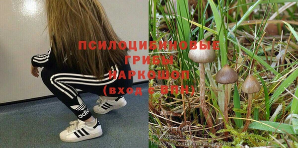 амф Пестово