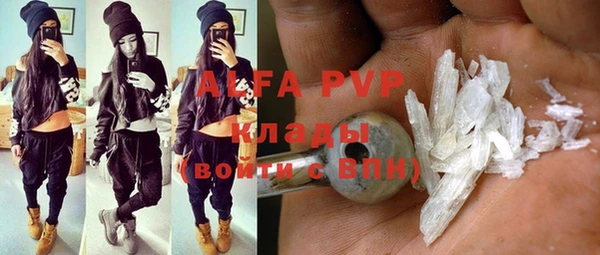 амф Пестово