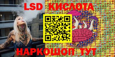 индика Тверь