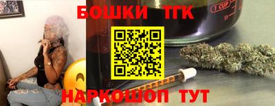 индика Тверь