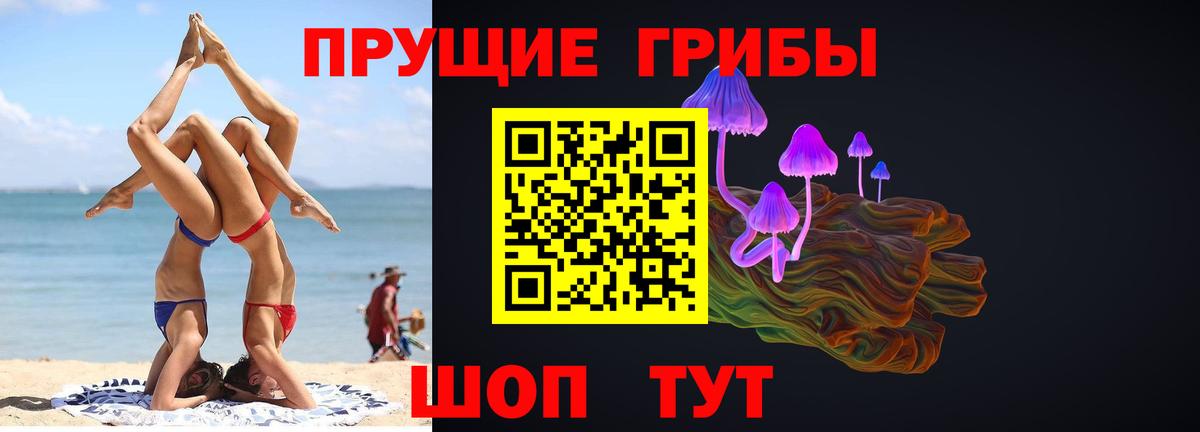 Туапсе  Псилоцибиновые грибы Psilocybine cubensis  Вход с VPN 